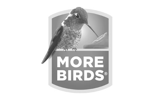Morebirdsclassicpng23